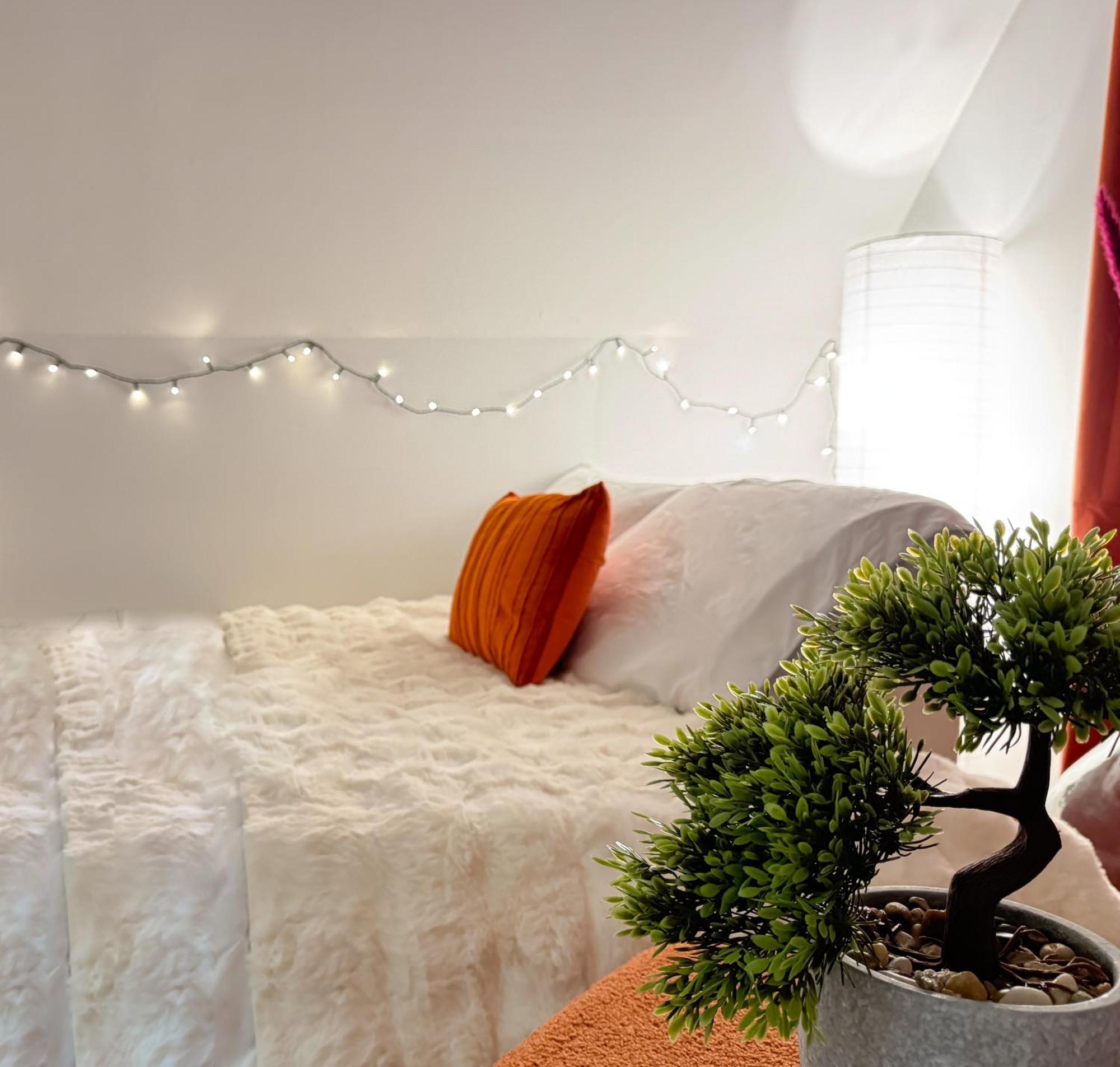 La Douceur - Hypercentre Pieton De Troyes - Cozy Apartment Ngoại thất bức ảnh