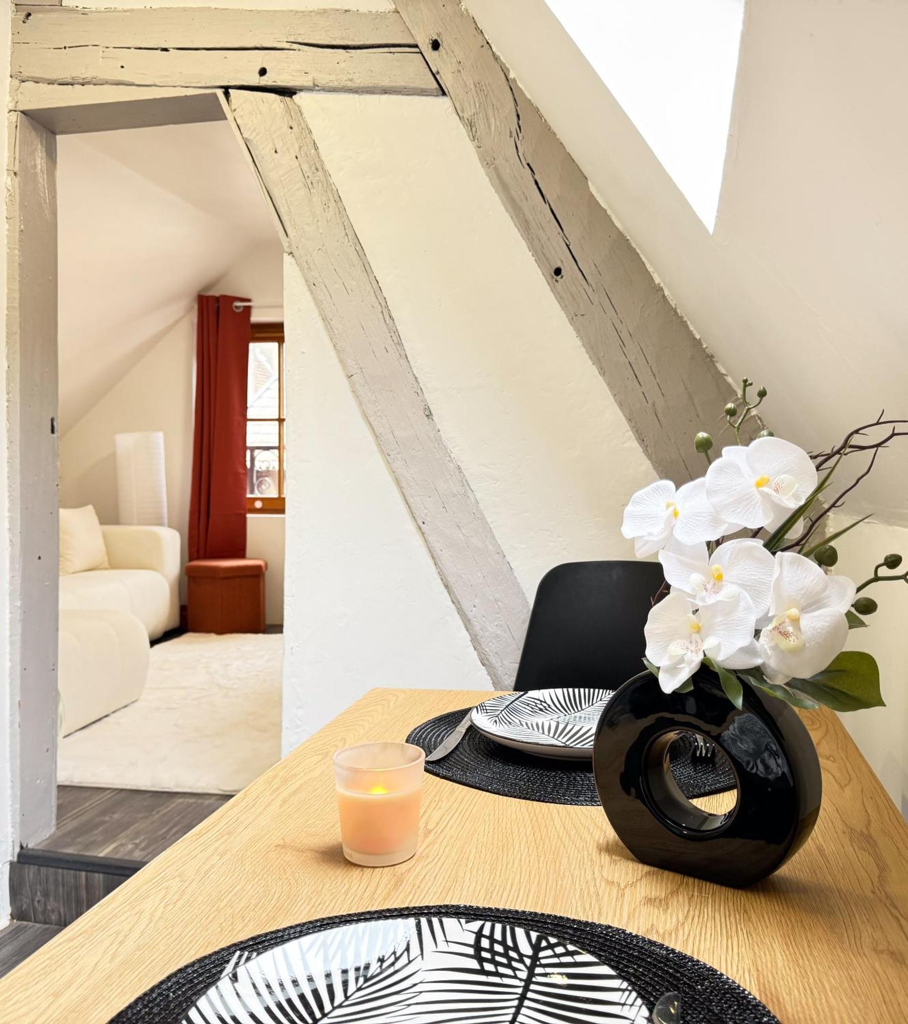 La Douceur - Hypercentre Pieton De Troyes - Cozy Apartment Ngoại thất bức ảnh